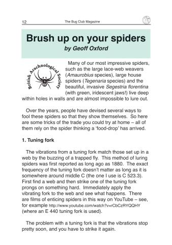 Brush up on your spiders