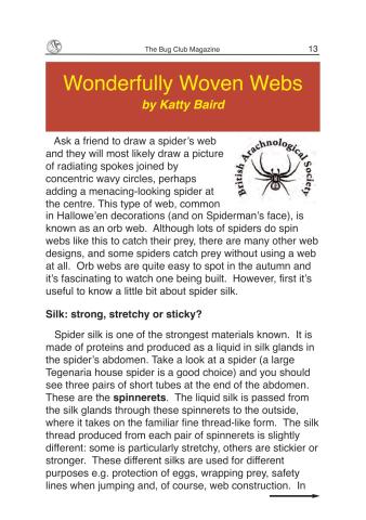 Wonderfully Woven Webs