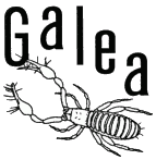 Galea image