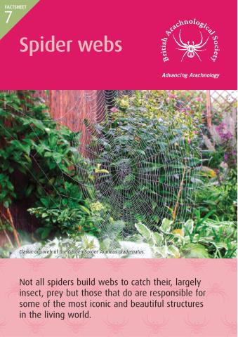 Spider webs factsheet