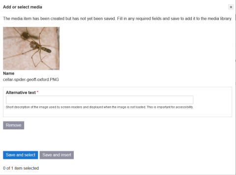 Add/select media dialog.