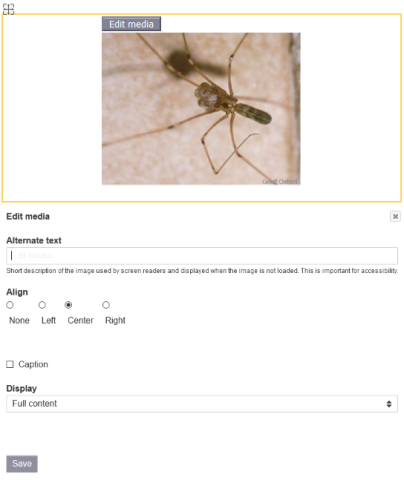 Edit media button and dialog