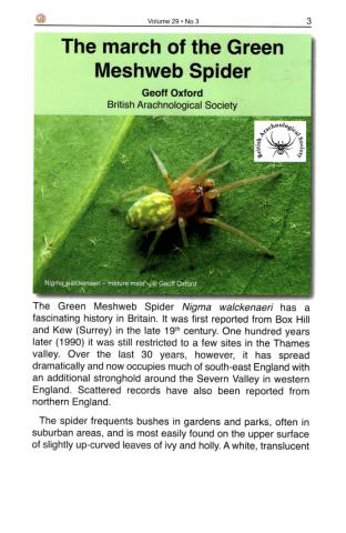 Image of the front page of 'The march of the Green Meshweb Spider' article
